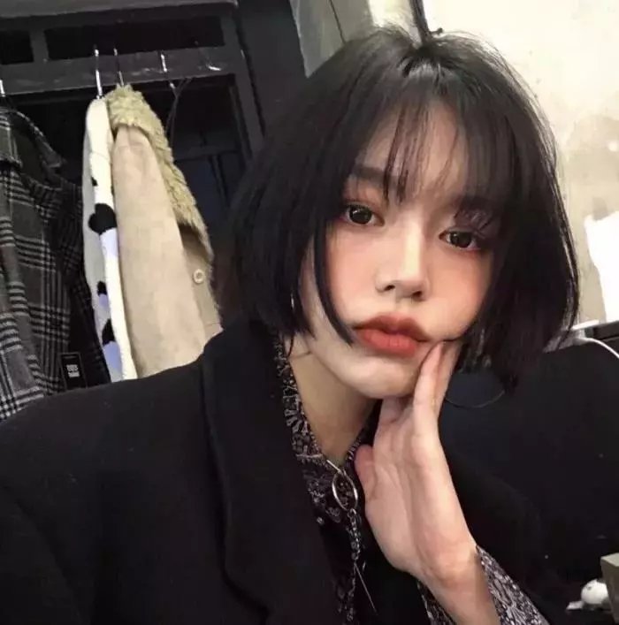 豺狼计划